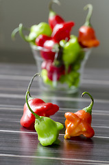 Image showing Chili peppers