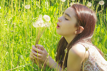 Image showing Little Girl Busy Blowing Dandelion Seeds In the Park