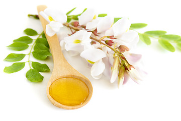 Image showing Honey in spoon with acacia flower