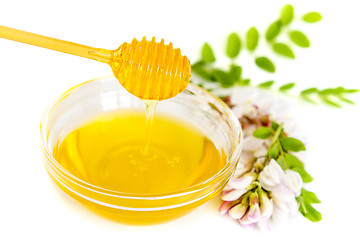 Image showing Honey in bowl and acacia flower 