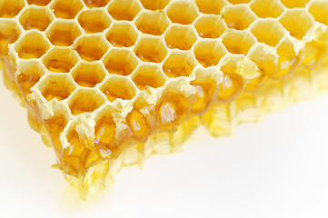 Image showing Honeycomb