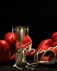 Image showing boxing gloves and a golden cup