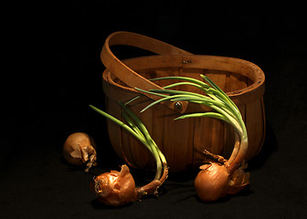 Image showing three onions and a basket