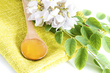 Image showing Acacia honey in spoon