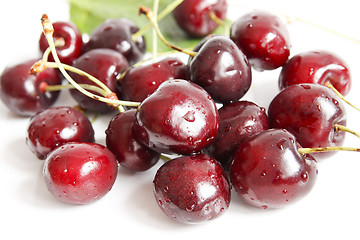 Image showing Cherry