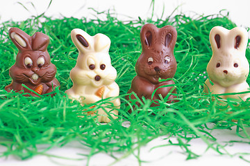 Image showing black and white easter bunnies