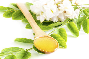 Image showing Honey in spoon with acacia flower and leaves