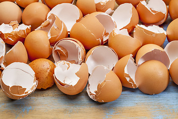 Image showing broken chicken eggshells