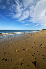 Image showing footstep musk pond  coastline and summer 