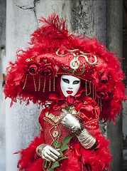 Image showing Red Venetian Disguise