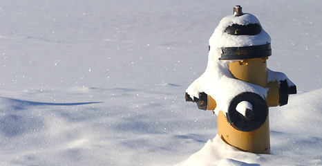 Image showing fire hydrant in snow