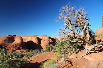 Image showing Utah landscape