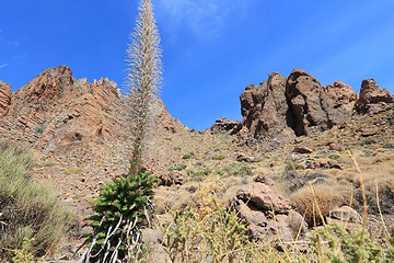 Image showing Tenerife - Roques de Garcia