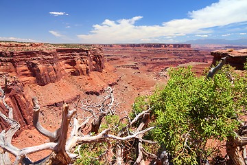 Image showing Canyonlands National Park