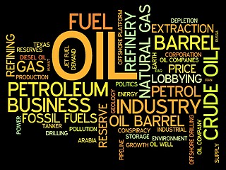 Image showing Petroleum industry