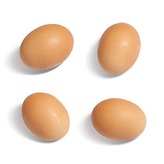 Image showing Eggs Isolated on white background