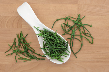 Image showing Samphire