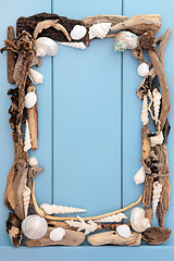 Image showing Seashells and Driftwood