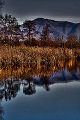 Image showing abstract  autumn lake  