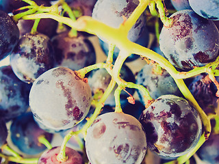 Image showing Retro look Grape