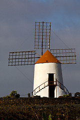 Image showing cactus windmills in  isle of lanzarote  