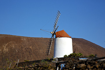 Image showing cactus windmills in  isle of lanzarote spain   and sky 