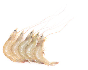 Image showing raw shrimps