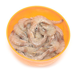 Image showing raw shrimps