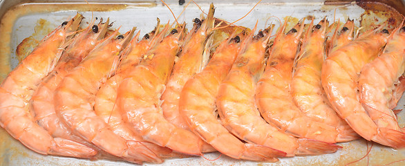 Image showing grilled shrimps