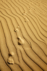 Image showing Dune Footprints