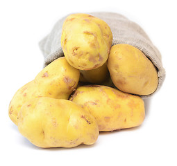 Image showing potato