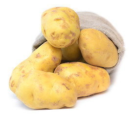 Image showing raw potatoes