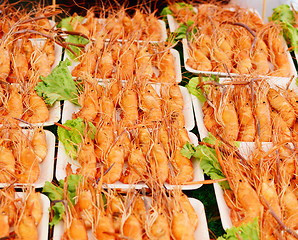 Image showing shrimps