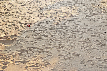 Image showing sand background