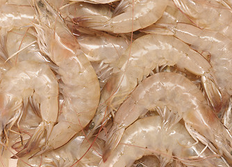 Image showing raw shrimps