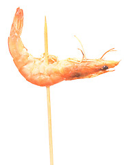 Image showing shrimp