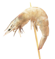 Image showing raw shrimp