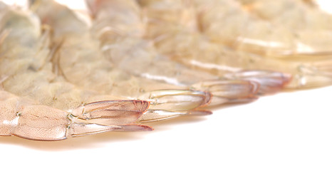 Image showing shrimp tails
