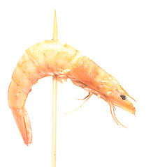 Image showing grilled shrimp