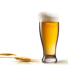 Image showing Beer in glass and wheat isolated on white background