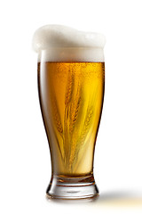 Image showing Beer in glass and wheat inside isolated on white background