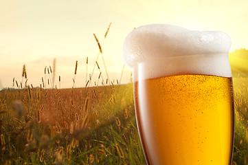 Image showing Glass of beer against wheat field and sunset