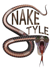 Image showing Snake style