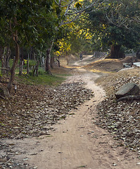 Image showing Path between trees