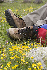 Image showing Resting on a meadow