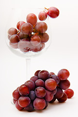 Image showing grapes in a wine glass