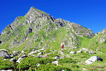 Image showing Trekking in mountains