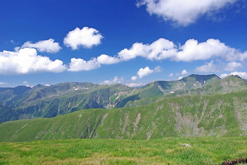 Image showing Alpine meadow