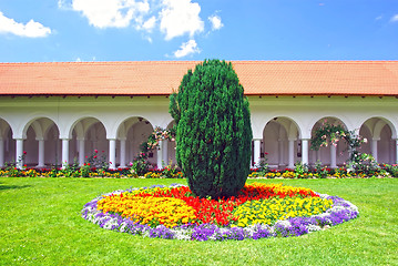 Image showing Garden