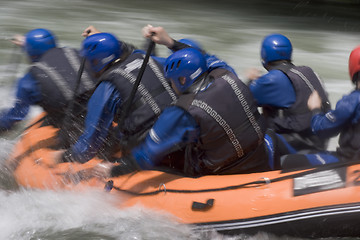 Image showing Working together in a rafting boat